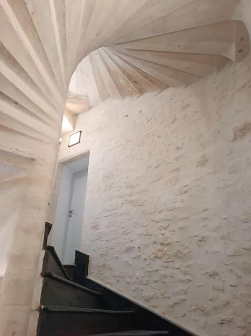 Appartement Centre Ville Historique Avec Terrasse Et Climatise Périgueux Eksteriør bilde